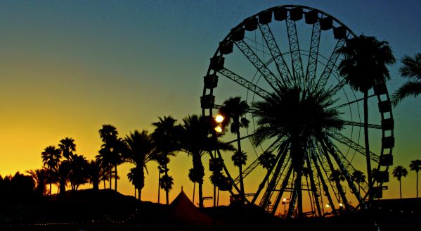 Corgchella, le festival des Corgis !