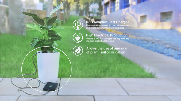 Recharger son portable avec une plante, c’est possible !