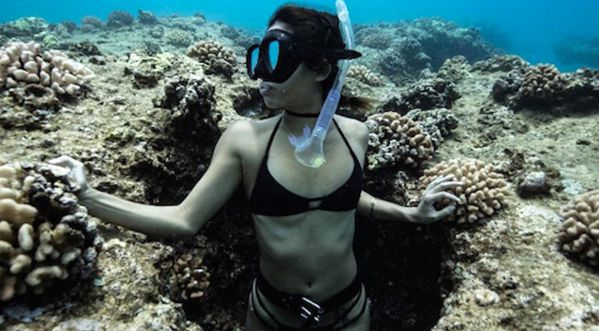 Le cinématographe Justin David Baluch vous emmène dans l’univers fascinant des fonds marins!