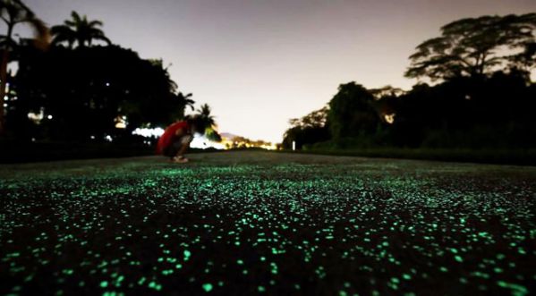Les voies piétonnières s’illuminent le soir dans les rues de Singapour