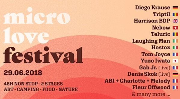 Le Micro Love Festival | 48H de musique non stop