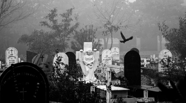 Halloween : Tout ce que vous ne savez pas