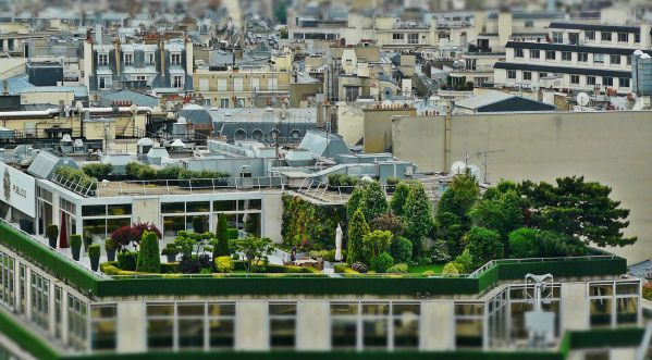 Une ferme en plein cœur de Paris