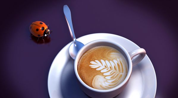 MAGNIFIQUE ! Des dessins dans la mousse de votre café