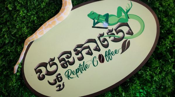 Au Cambodge, il vous est désormais possible de boire un café en compagnie d’un reptile