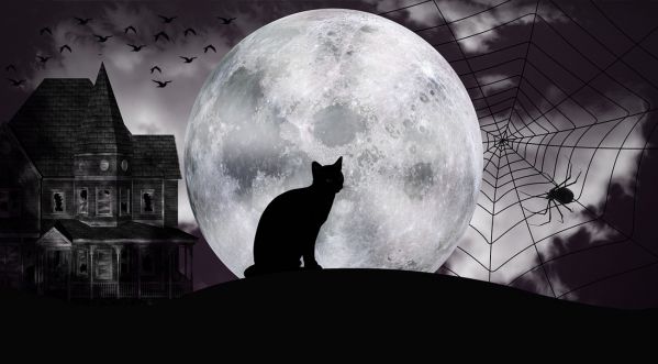 Halloween : Top 10 des déguisements les plus appréciés ! Halloween : Top 10 des déguisements les plus appréciés !