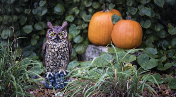 Halloween : Quelques idées pour faire la fête !