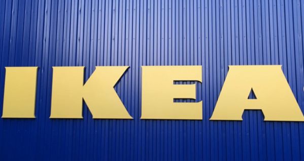 Ikea : un magasin en Sicile accueille les chiens errants !