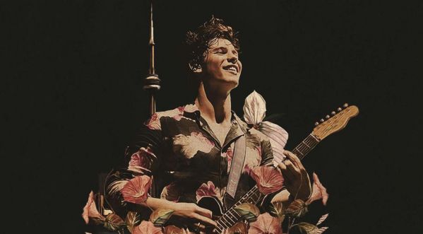 Shawn Mendes : Explication de son titre « There’s Nothing Holding Me Back » ?