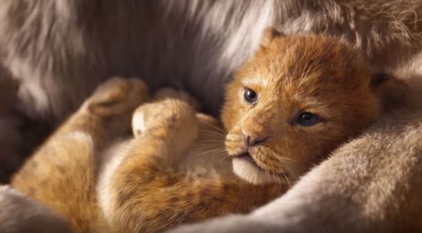 Le Roi Lion : Comparaison des images du dessin animé et du film !