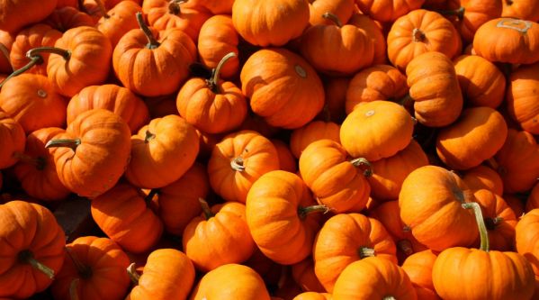 Halloween 2019 : Comment fabriquer une belle citrouille ?