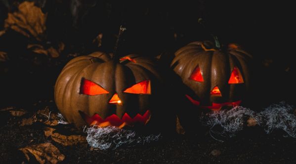 Halloween 2019 : Les déguisements pour animaux les plus rigolos !