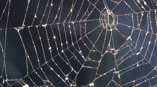 Halloween : Les meilleurs déguisements pour enfant !