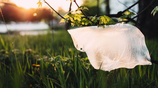 Enfin une solution pour abandonner les sacs en plastique ?