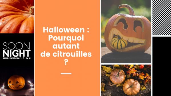 Halloween : Pourquoi autant de citrouilles ?