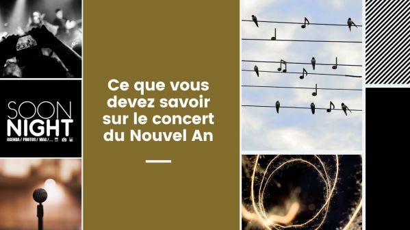 Ce que vous devez savoir sur le concert du Nouvel An