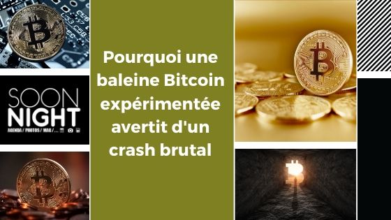 Pourquoi une baleine Bitcoin expérimentée avertit d’un crash brutal ?