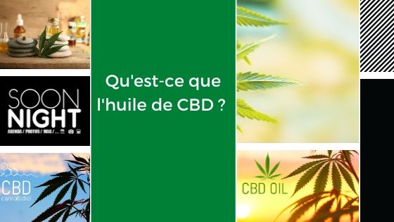 Qu'est-ce que l'huile de CBD ? Qu'est-ce que l'huile de CBD ?