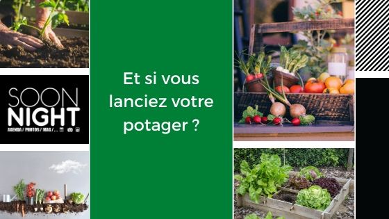 Confinement : Et si vous lanciez votre potager ?