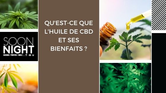 Qu’est-ce que l’huile de CBD et ses bienfaits ?