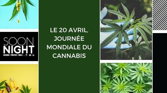 Le 20 avril, journée mondiale du cannabis