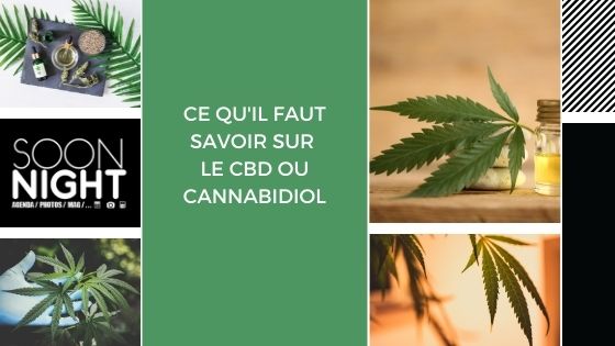 Ce qu’il faut savoir sur le CBD ou cannabidiol