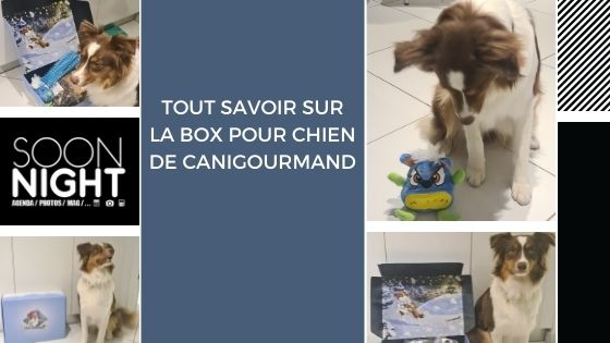 Tout savoir sur la box pour chien de CaniGourmand