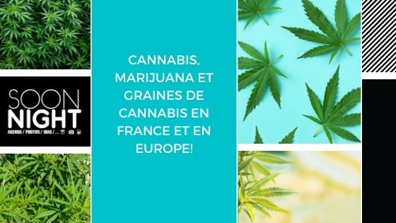 Cannabis, marijuana et graines de cannabis en France et en Europe!