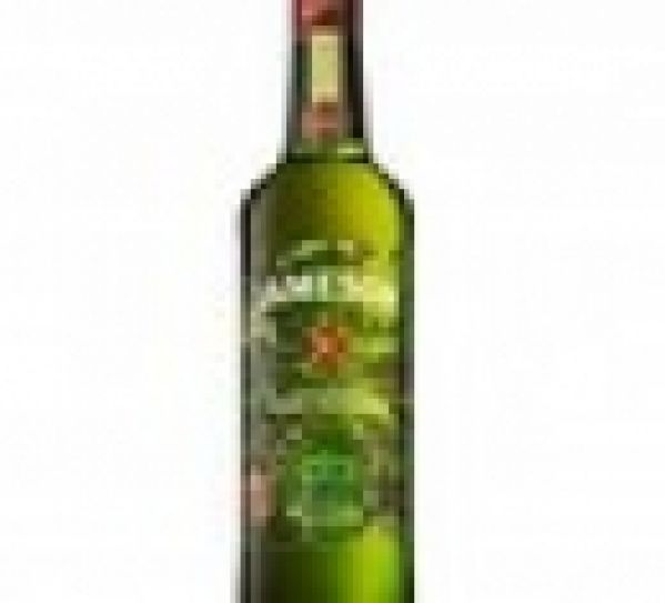 Bouteille collector Jameson Saint-Patrick