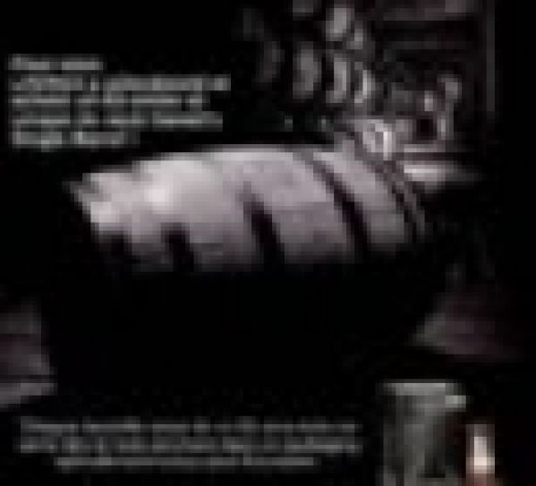 Jack Daniel´s : série limitée Buy the Barrel Lavinia