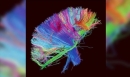 Muse: nouvelle album, nouvelle pochette!