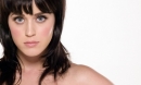 Katy Perry : One Direction en cadeau !