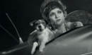 The Artist : coup de coeur avec le chien Uggy!