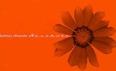 Gabriel Ananda – SÃ¼ssholz (Remixes)