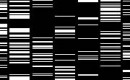 Ryoji Ikeda/Damatics (ver.2.0) au Centre Pompidou les 21 et 22 novembre