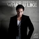 Teo Moss – What U Like