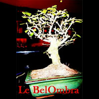 New Bel Ombra // Bar – Cocktails – Tapas – DJ