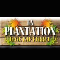 Plantation (La)