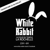 White Rabbit