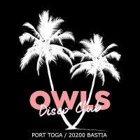 HAPPY NEW YEAR 2019 OWLS disco club