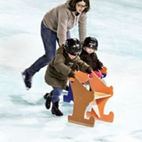 ICE PARC ANGERS