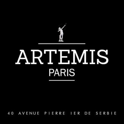 Artemis (Club Paris)