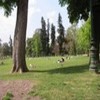 Jardin Public (Le)
