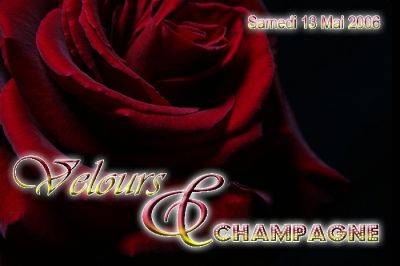 velours ‘ Champagne