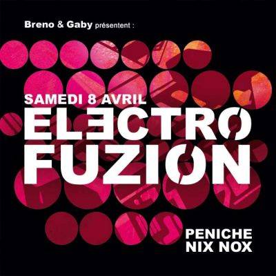 Electrofuzion