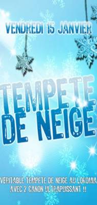 Tempête de Neige