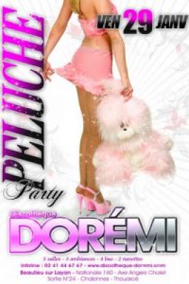 Peluche party