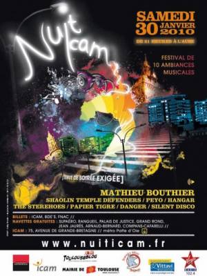 Nuit ICAM 2010 [Party 2]