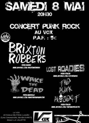 CONCERT PUNK ROCK