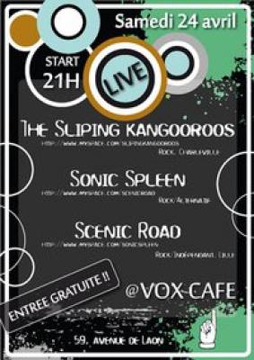 Sonic Spleen + Sliping Kangooroos + Scenic Road GRATUIT @ Vox samedi !